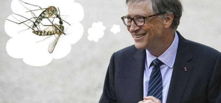 Bill Gates e la sua fabbrica di zanzare