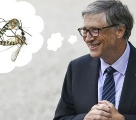 Bill Gates e la sua fabbrica di zanzare