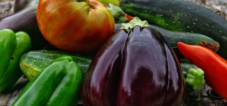 il clima e la produzione di ortaggi il clima e la produzione di ortaggi