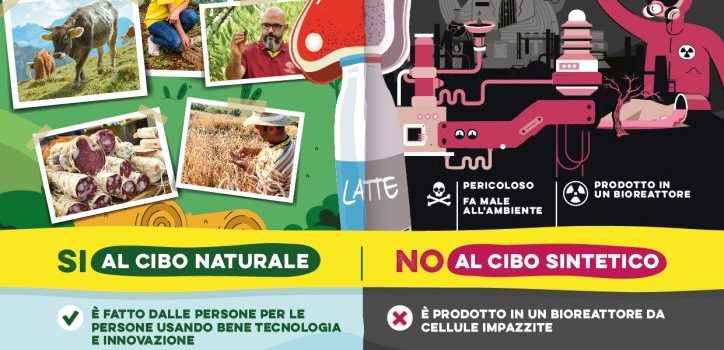 Coldiretti: una firma contro il cibo sintetico Coldiretti: una firma contro il cibo sintetico