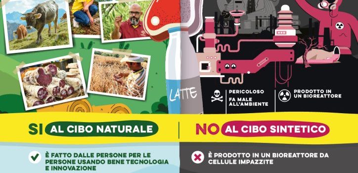 Coldiretti: una firma contro il cibo sintetico