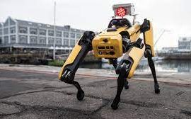 Robot forza letale