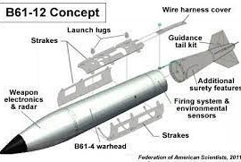 Testate nucleari