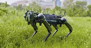 Cane robot Cane robot