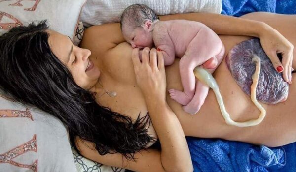 Lotus Birth Lotus Birth