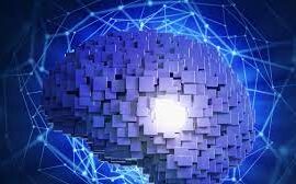 Neurodiritti
