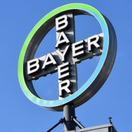 Bayer