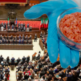 Carne finta, alla legge approvata dal parlamento manca la firma di Mattarella.