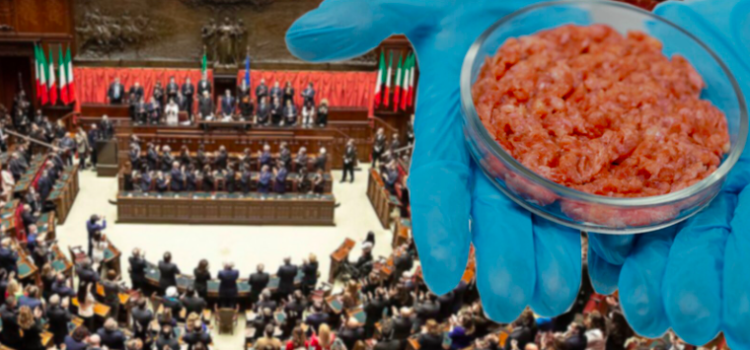 Carne finta, alla legge approvata dal parlamento manca la firma di Mattarella.