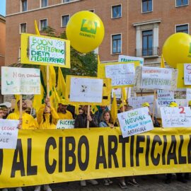 Cibi artificiali