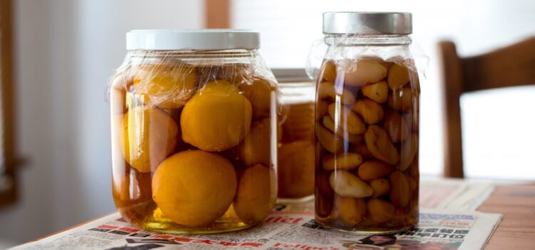 Fermentazione Fermentazione