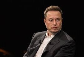 Elon Musk e i DEM