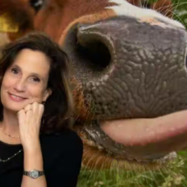 Ilaria Capua nuova barzellettiera d’Italia: pur di fare terrorismo arriva a raccontare che un agricoltore negli Usa avrebbe preso la congiuntivite da una delle sue vacche.