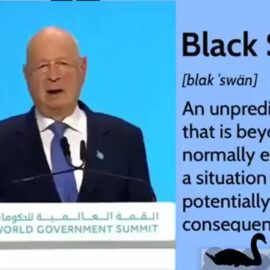 Schwabb annuncia l’arrivo del “cigno nero”