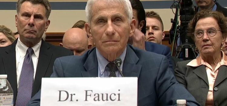 E ora cosa succede a Fauci? Semplicemente nulla? E ora cosa succede a Fauci? Semplicemente nulla?